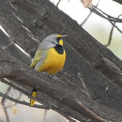 Sterkfontein Country Estates, Gauteng - July 2022