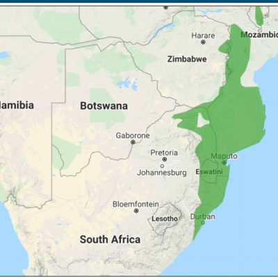 ref:- www.Datazone/birdlife.co.za