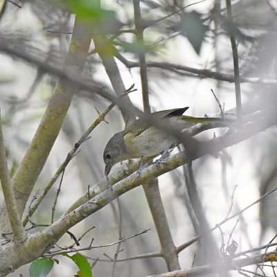 Plettenberg Bay, April 2022