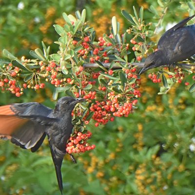 Plettenberg Bay, June 2021