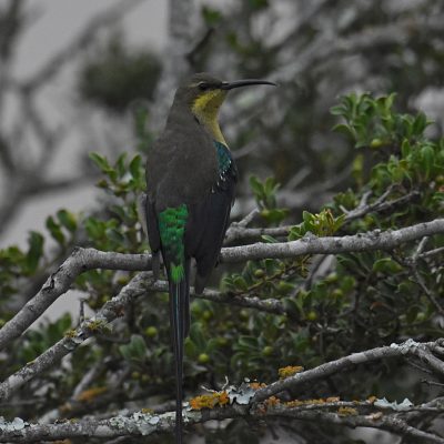 Addo Elephant National Park, March 2022