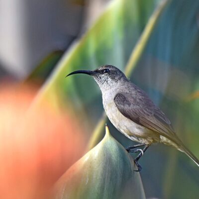 Plettenberg Bay, Western Cape - September 2025