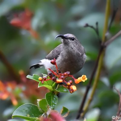 St Martins, Harare - 22 Dec 2017