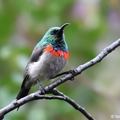 St Martins, Harare - 22 Dec 2017