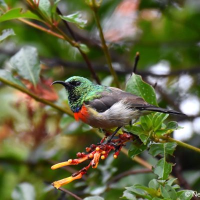 St Martins, Harare - 22 Dec 2017