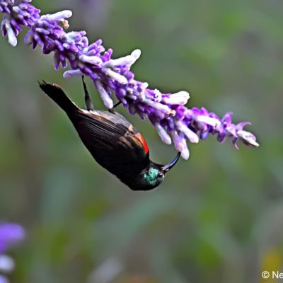 St Martins, Harare - 22 Dec 2017