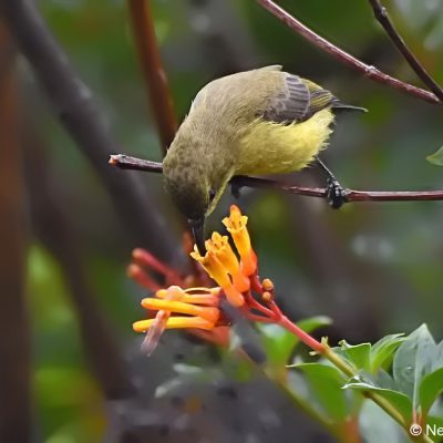 St Martins Harare,  Zimbabwe - 23 Dec 2017