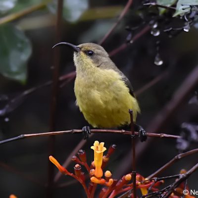 St Martins Harare,  Zimbabwe - 23 Dec 2017
