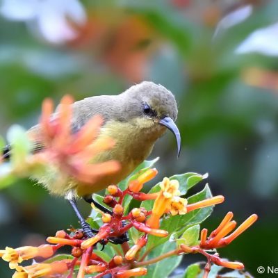St Martins Harare,  Zimbabwe - 23 Dec 2017