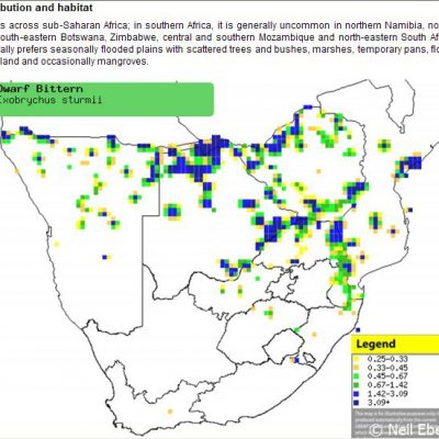 ref: www.datazone.birdlife.co.za