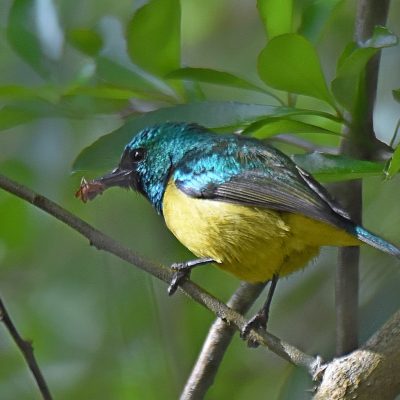 Plettenberg Bay Golf Club, Plettenberg Bay, Western Cape - September 2023