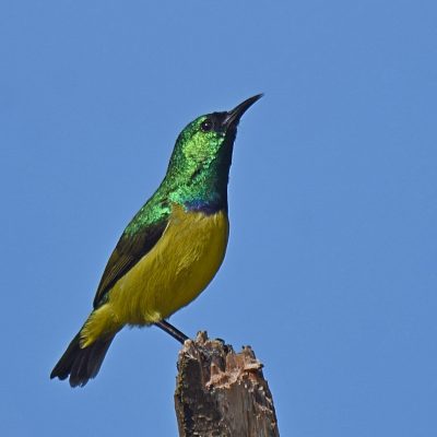 Plettenberg Bay Golf Club, Plettenberg Bay, Western Cape - September 2023