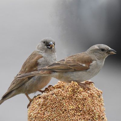 Plettenberg Bay, Western Cape - November 2023