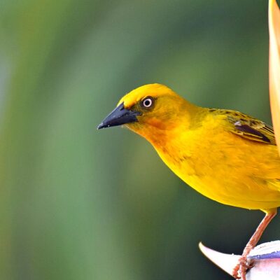 Plettenberg Bay, Western Cape - September 2025