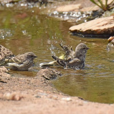 Candlewood Estates, Centurian, Gauteng - Feb 2020