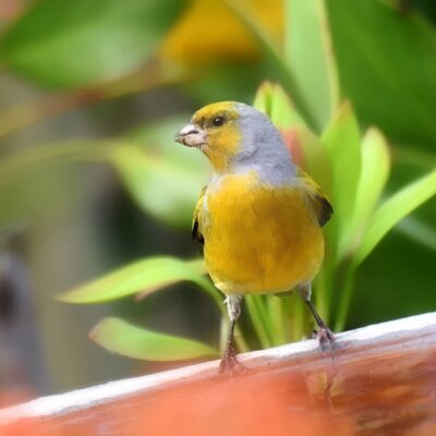 Plettenberg Bay, Western Cape - October 2025