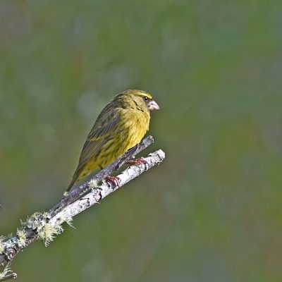 Plettenberg Bay, May 2022