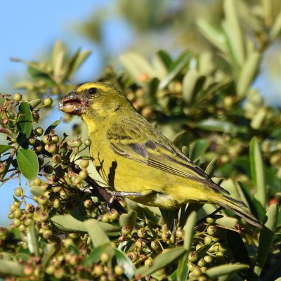 Plettenberg Bay, Western Cape - February 2022