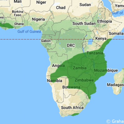 Ref: Datazone.birdlife.org