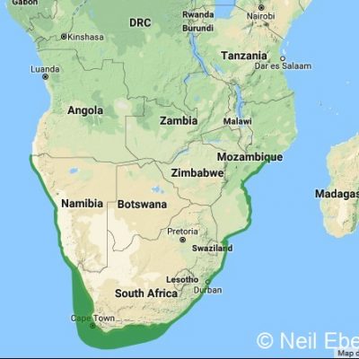 (ref: http://datazone.birdlife.org)