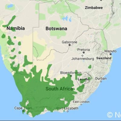 (ref: http://datazone.birdlife.org)