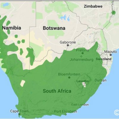 (ref: http://datazone.birdlife.org)