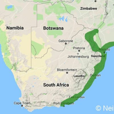 (ref: http://datazone.birdlife.org)