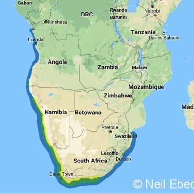 (ref: http://datazone.birdlife.org)