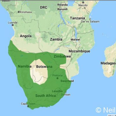 (ref: http://datazone.birdlife.org)