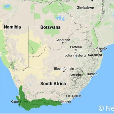 (ref: http://datazone.birdlife.org)