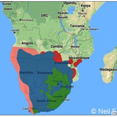 (ref: http://datazone.birdlife.org)