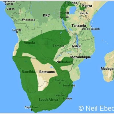 (ref: http://datazone.birdlife.org)