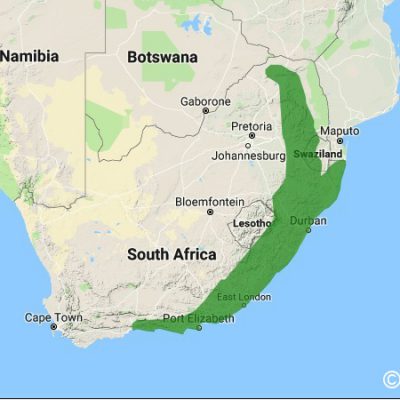 (ref: http://datazone.birdlife.org)