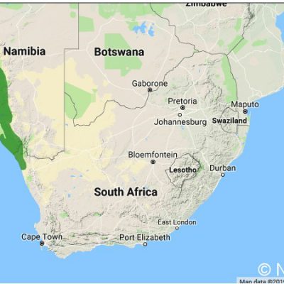 (ref: http://datazone.birdlife.org)