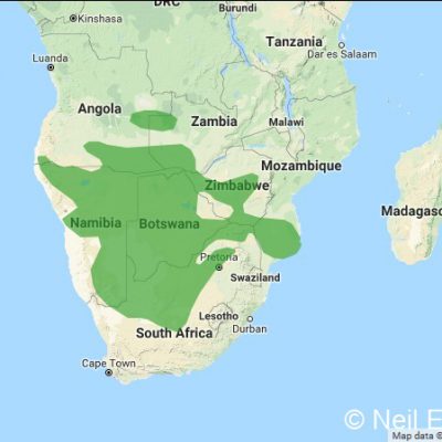 (ref: http://datazone.birdlife.org)