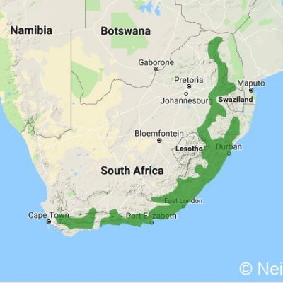 (ref: http://datazone.birdlife.org)