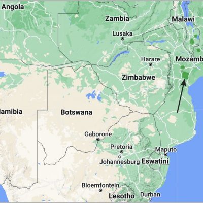 (ref: http://datazone.birdlife.org)