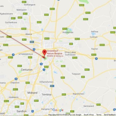 (ref: http://datazone.birdlife.org)