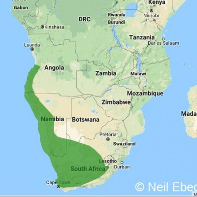 (ref: http://datazone.birdlife.org)