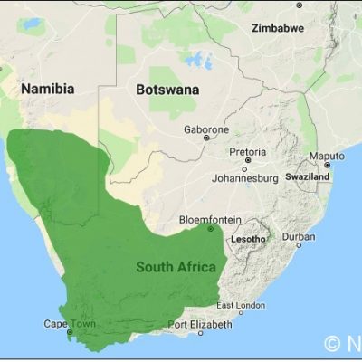 (ref: http://datazone.birdlife.org)