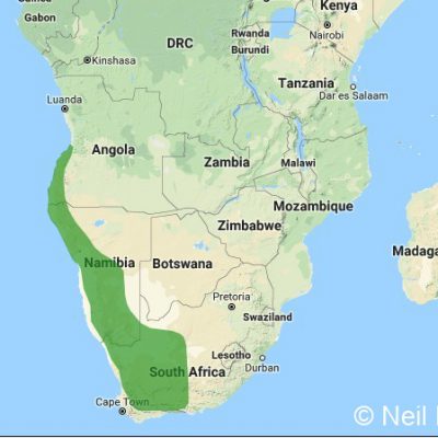 (ref: http://datazone.birdlife.org)