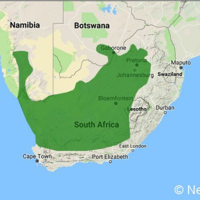 (ref: http://datazone.birdlife.org)