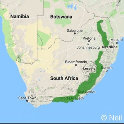 (ref: http://datazone.birdlife.org)