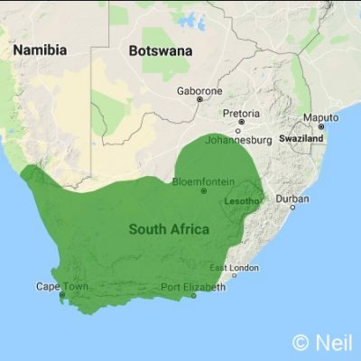 (ref: http://datazone.birdlife.org)