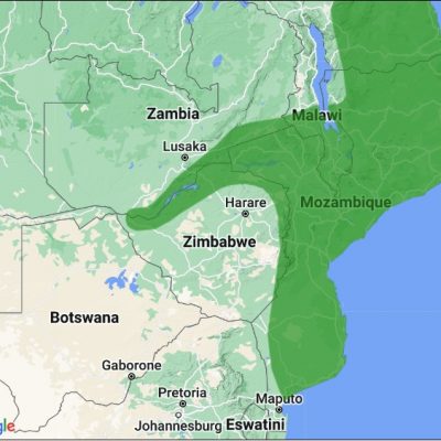 Ref: http://datazone.birdlife.org/species/