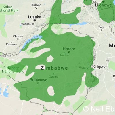 (ref: http://datazone.birdlife.org)