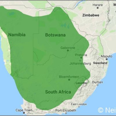 (ref: http://datazone.birdlife.org)