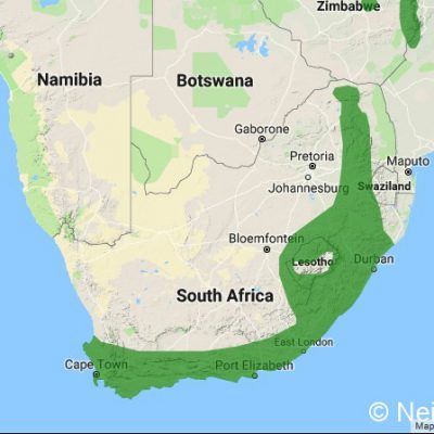 (ref: http://datazone.birdlife.org)