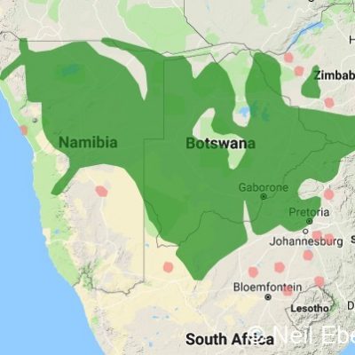 (ref: http://datazone.birdlife.org)