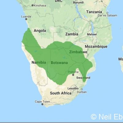 (ref: http://datazone.birdlife.org)